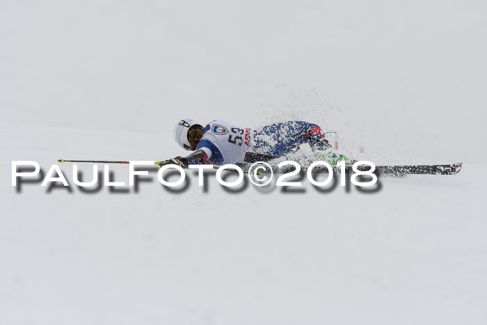 Int. FIS Rennen Damen, RS, Maria Alm 09.01.2018