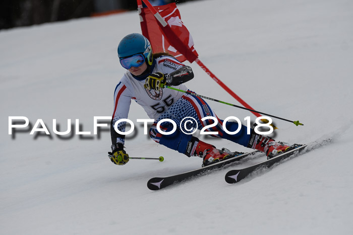 Int. FIS Rennen Damen, RS, Maria Alm 09.01.2018