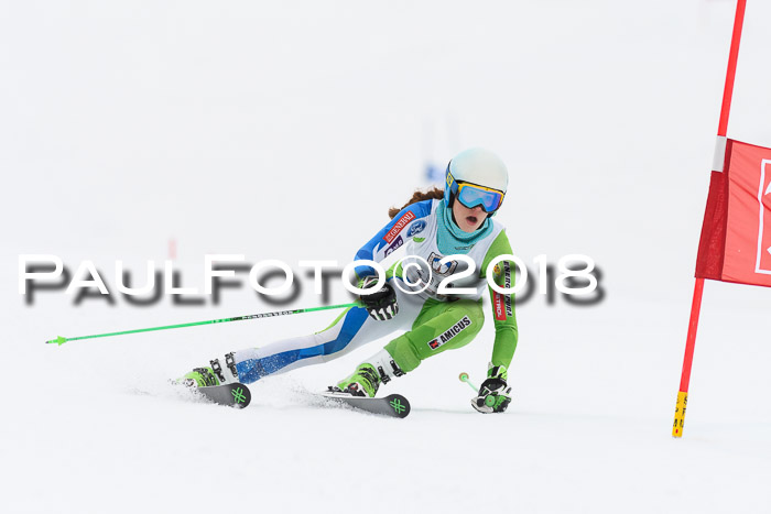 Int. FIS Rennen Damen, RS, Maria Alm 09.01.2018