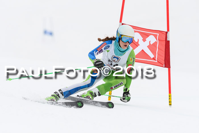 Int. FIS Rennen Damen, RS, Maria Alm 09.01.2018
