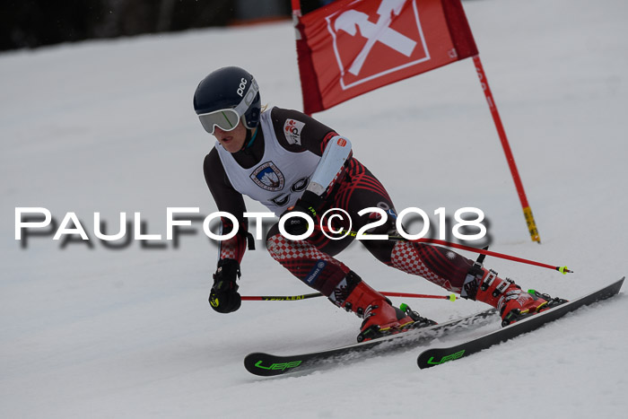 Int. FIS Rennen Damen, RS, Maria Alm 09.01.2018