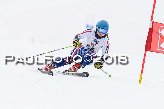 Int. FIS Rennen Damen, RS, Maria Alm 09.01.2018