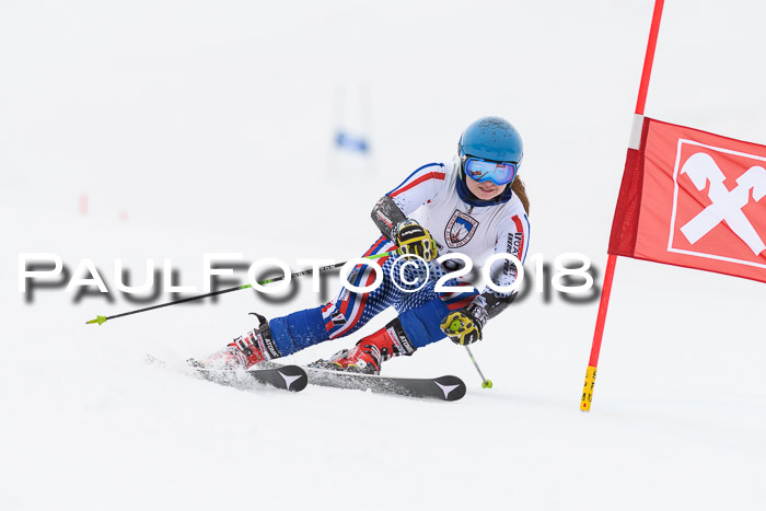 Int. FIS Rennen Damen, RS, Maria Alm 09.01.2018