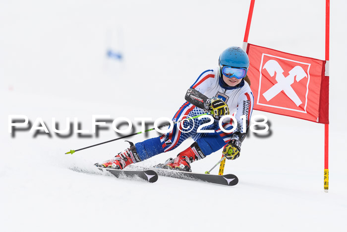 Int. FIS Rennen Damen, RS, Maria Alm 09.01.2018