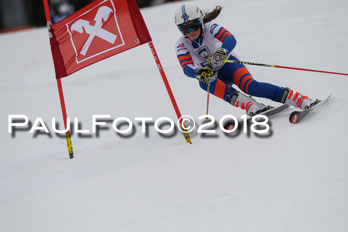 Int. FIS Rennen Damen, RS, Maria Alm 09.01.2018