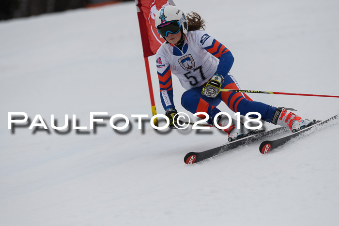 Int. FIS Rennen Damen, RS, Maria Alm 09.01.2018