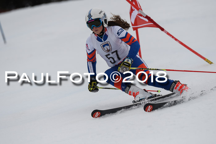Int. FIS Rennen Damen, RS, Maria Alm 09.01.2018