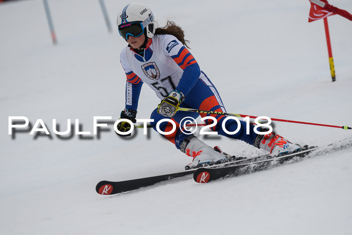 Int. FIS Rennen Damen, RS, Maria Alm 09.01.2018