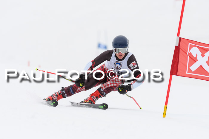 Int. FIS Rennen Damen, RS, Maria Alm 09.01.2018