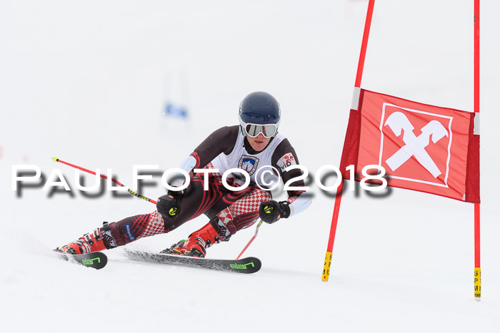 Int. FIS Rennen Damen, RS, Maria Alm 09.01.2018