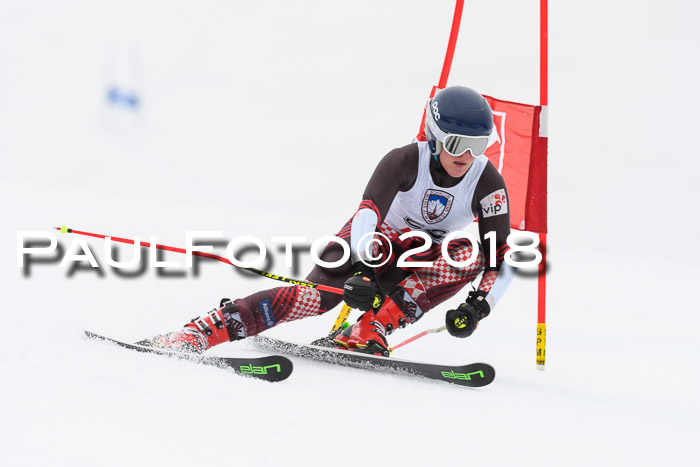 Int. FIS Rennen Damen, RS, Maria Alm 09.01.2018
