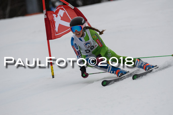 Int. FIS Rennen Damen, RS, Maria Alm 09.01.2018
