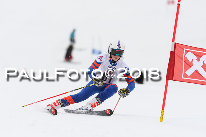 Int. FIS Rennen Damen, RS, Maria Alm 09.01.2018
