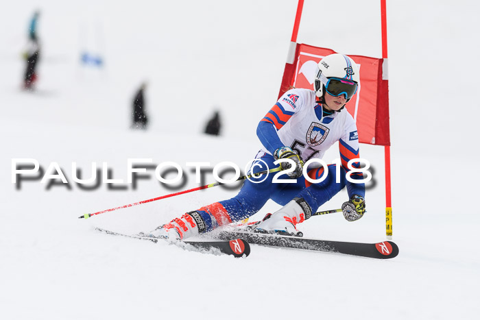 Int. FIS Rennen Damen, RS, Maria Alm 09.01.2018