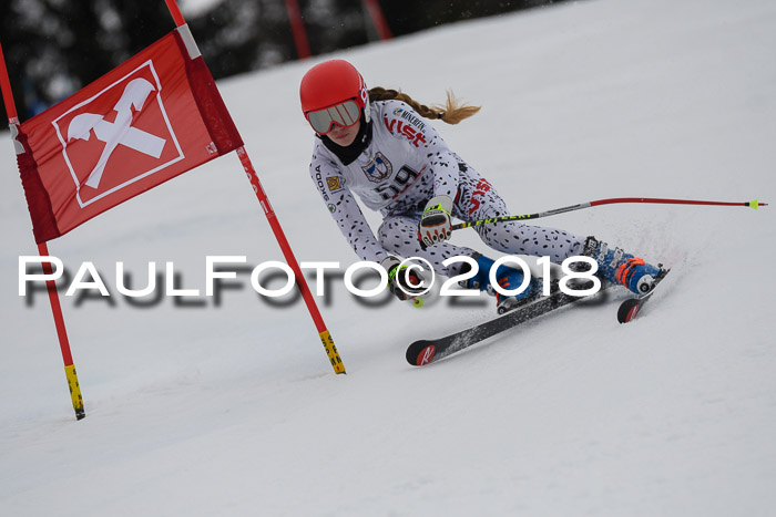 Int. FIS Rennen Damen, RS, Maria Alm 09.01.2018