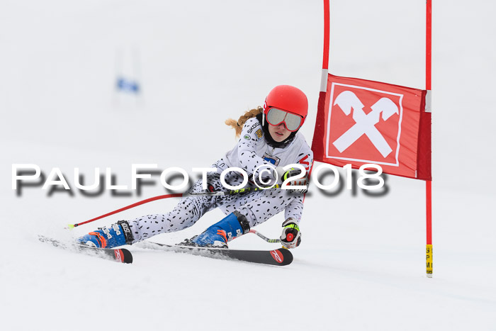 Int. FIS Rennen Damen, RS, Maria Alm 09.01.2018