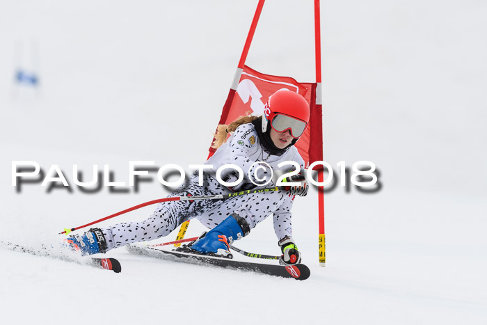 Int. FIS Rennen Damen, RS, Maria Alm 09.01.2018