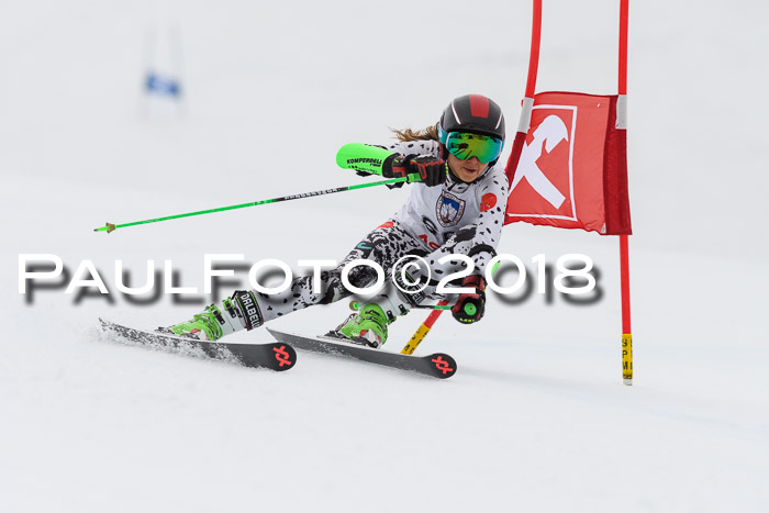 Int. FIS Rennen Damen, RS, Maria Alm 09.01.2018