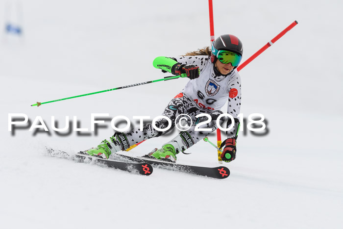 Int. FIS Rennen Damen, RS, Maria Alm 09.01.2018