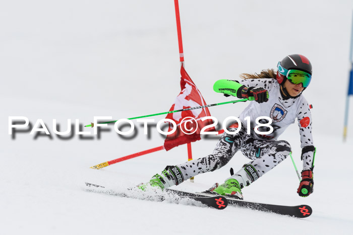 Int. FIS Rennen Damen, RS, Maria Alm 09.01.2018