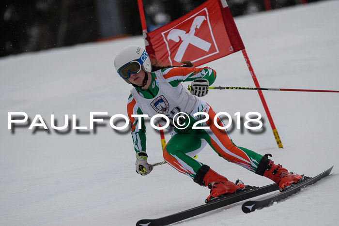 Int. FIS Rennen Damen, RS, Maria Alm 09.01.2018
