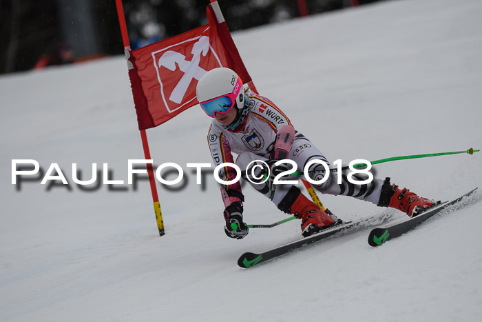 Int. FIS Rennen Damen, RS, Maria Alm 09.01.2018