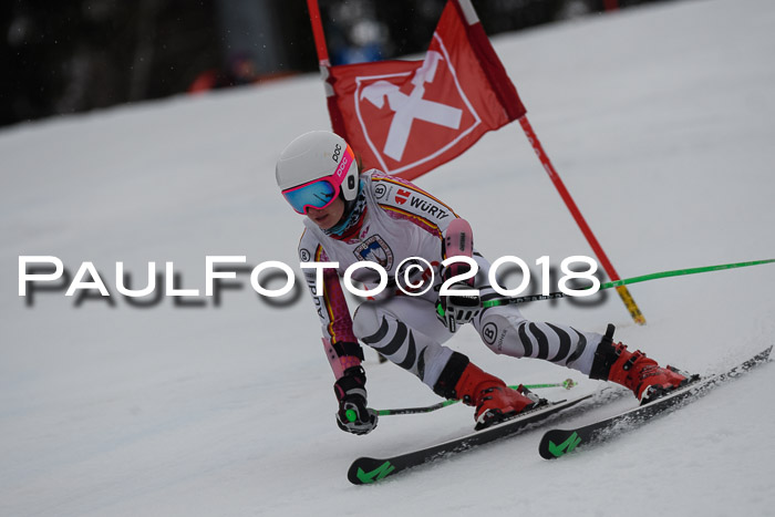 Int. FIS Rennen Damen, RS, Maria Alm 09.01.2018