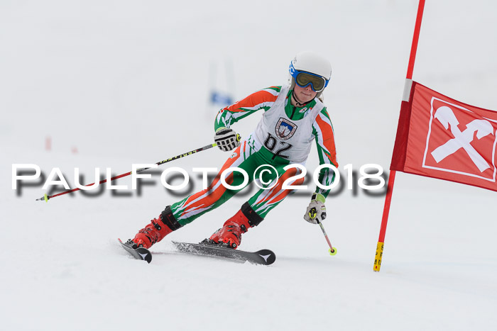 Int. FIS Rennen Damen, RS, Maria Alm 09.01.2018
