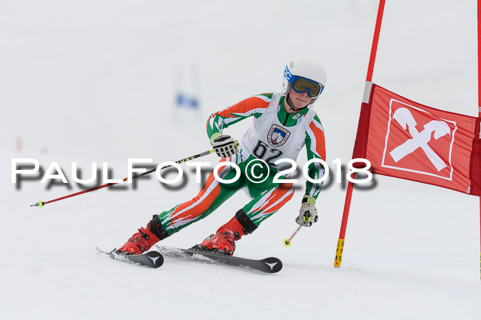 Int. FIS Rennen Damen, RS, Maria Alm 09.01.2018