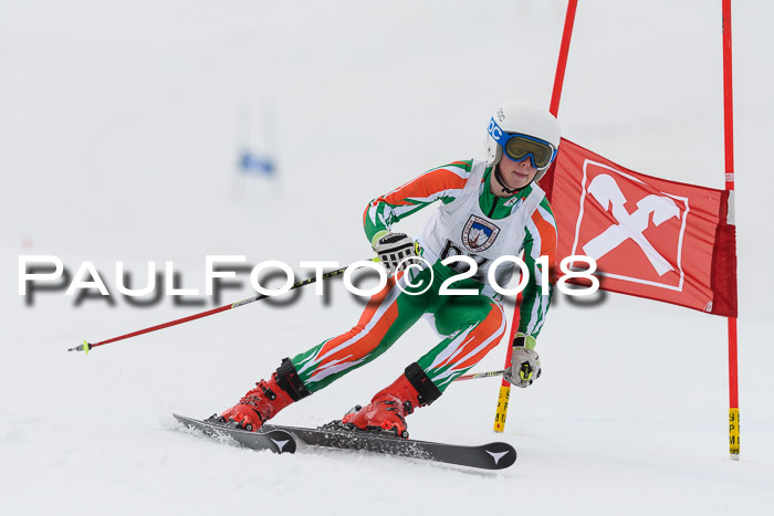 Int. FIS Rennen Damen, RS, Maria Alm 09.01.2018