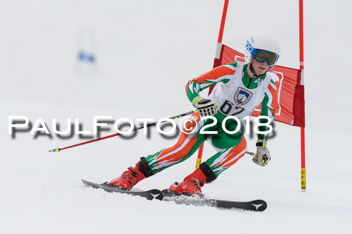 Int. FIS Rennen Damen, RS, Maria Alm 09.01.2018