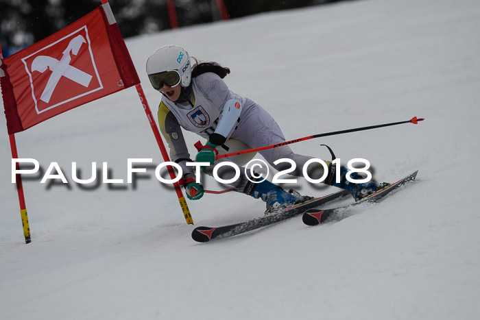 Int. FIS Rennen Damen, RS, Maria Alm 09.01.2018