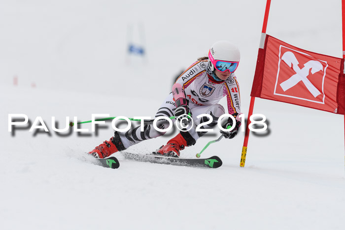 Int. FIS Rennen Damen, RS, Maria Alm 09.01.2018