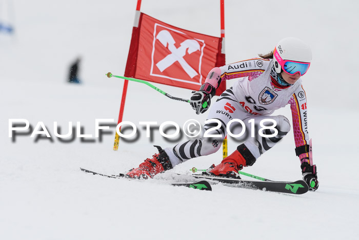 Int. FIS Rennen Damen, RS, Maria Alm 09.01.2018