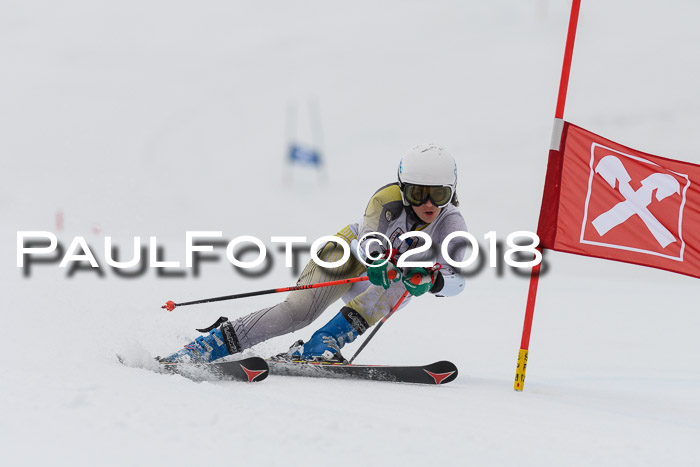 Int. FIS Rennen Damen, RS, Maria Alm 09.01.2018