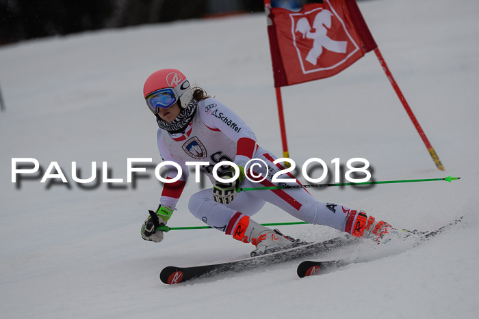 Int. FIS Rennen Damen, RS, Maria Alm 09.01.2018