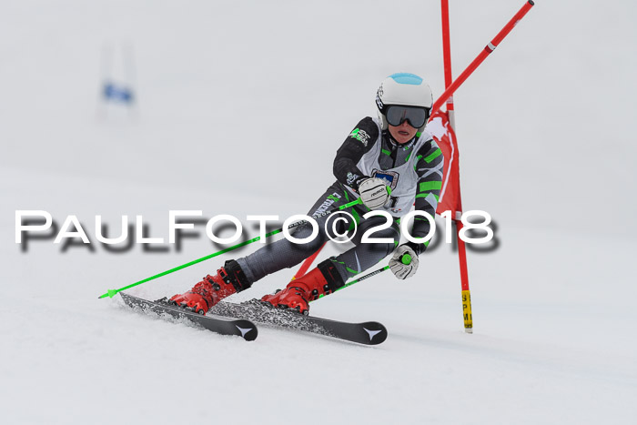 Int. FIS Rennen Damen, RS, Maria Alm 09.01.2018