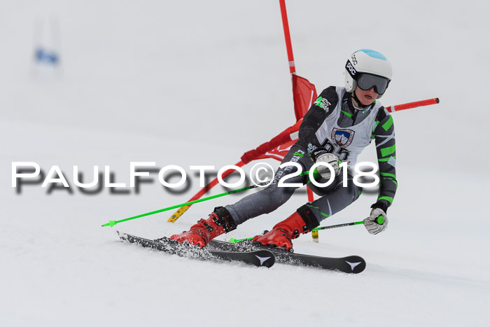 Int. FIS Rennen Damen, RS, Maria Alm 09.01.2018