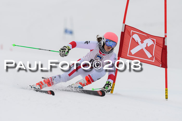 Int. FIS Rennen Damen, RS, Maria Alm 09.01.2018