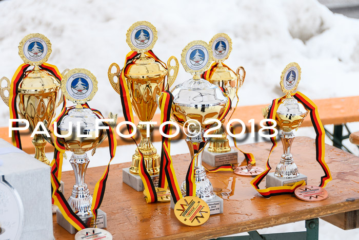 Int. FIS Rennen Damen, RS, Maria Alm 09.01.2018