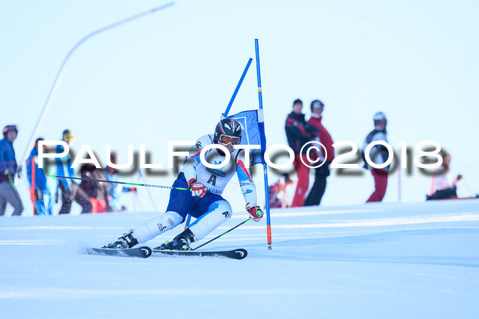 Int. FIS Rennen Herren, RS, Maria Alm 10.01.2018