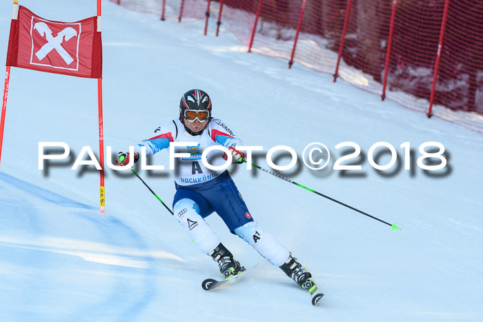 Int. FIS Rennen Herren, RS, Maria Alm 10.01.2018