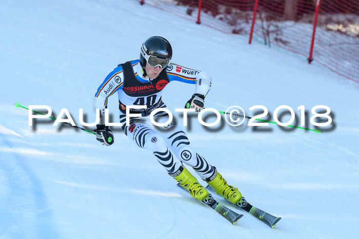 Int. FIS Rennen Herren, RS, Maria Alm 10.01.2018