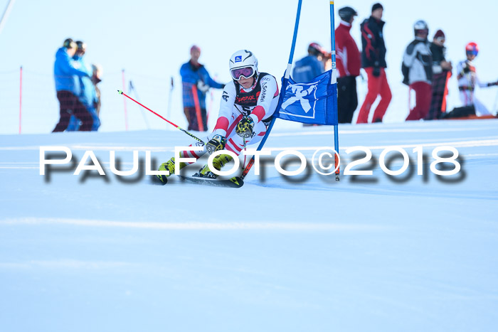 Int. FIS Rennen Herren, RS, Maria Alm 10.01.2018