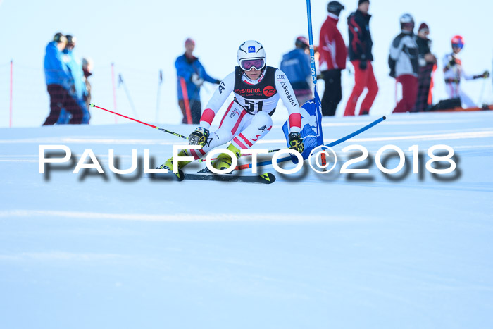 Int. FIS Rennen Herren, RS, Maria Alm 10.01.2018