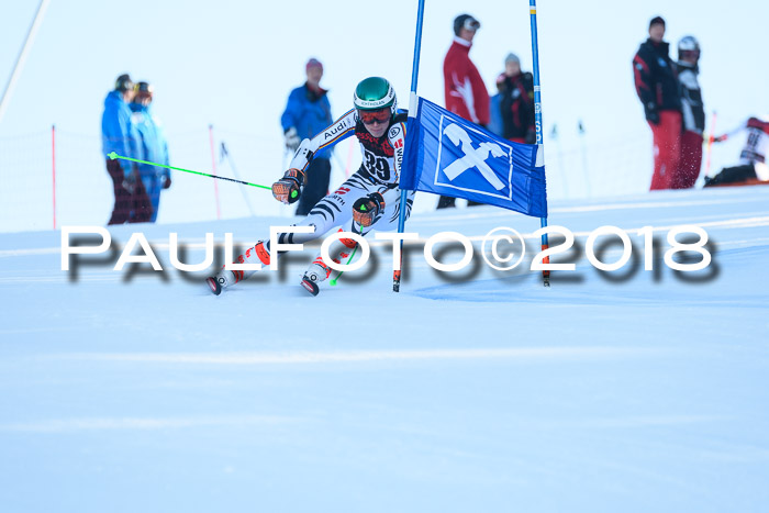 Int. FIS Rennen Herren, RS, Maria Alm 10.01.2018