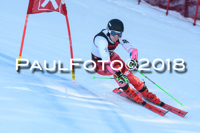 Int. FIS Rennen Herren, RS, Maria Alm 10.01.2018