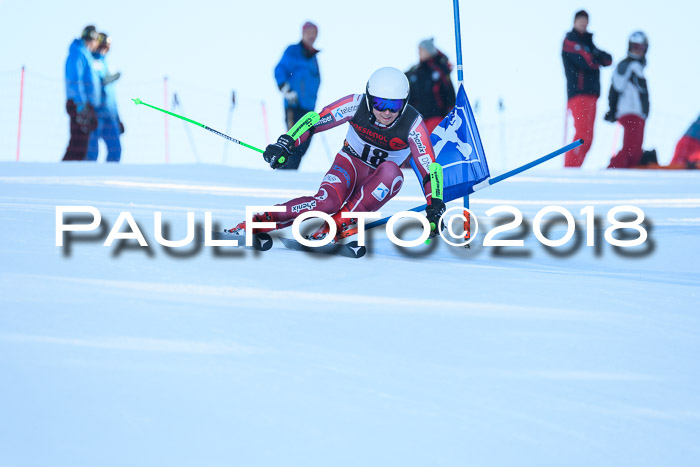 Int. FIS Rennen Herren, RS, Maria Alm 10.01.2018