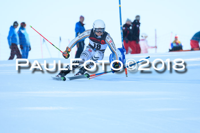 Int. FIS Rennen Herren, RS, Maria Alm 10.01.2018