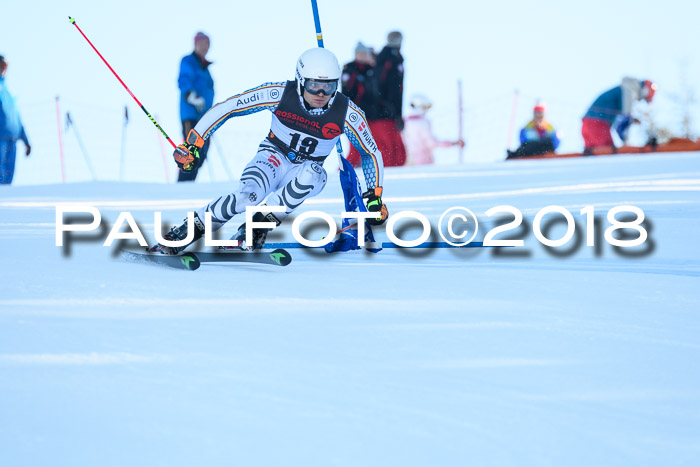 Int. FIS Rennen Herren, RS, Maria Alm 10.01.2018
